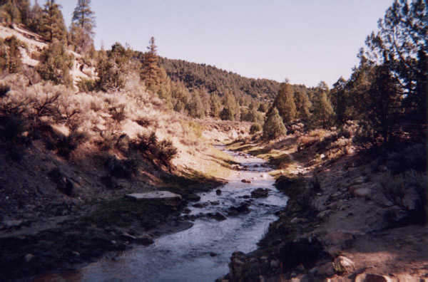 crop0010 copy 5