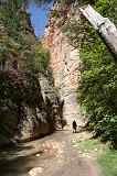 IMG_4779