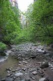 IMG_4903