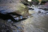 IMG_4991